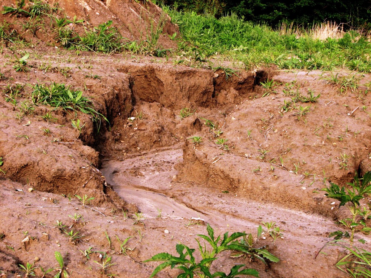 Erosion soil gully types land eroded qld water queensland highly surface which